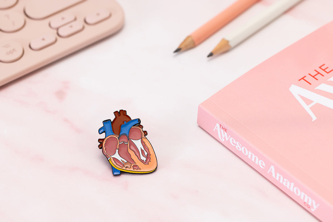 Heart Soft Enamel Detailed Pin 35mm – The Awesome Anatomy Company