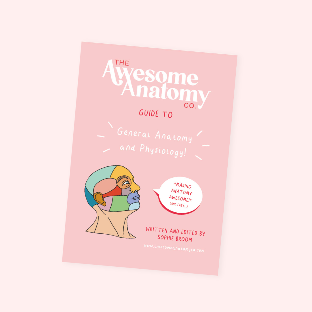 New A4 Anatomy Physiology Guide The Awesome Anatomy Company New A4 Anatomy Physiology Guide The Awesome Anatomy Company