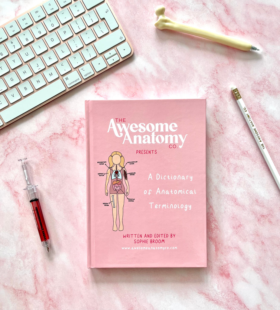 All Guides – The Awesome Anatomy Company