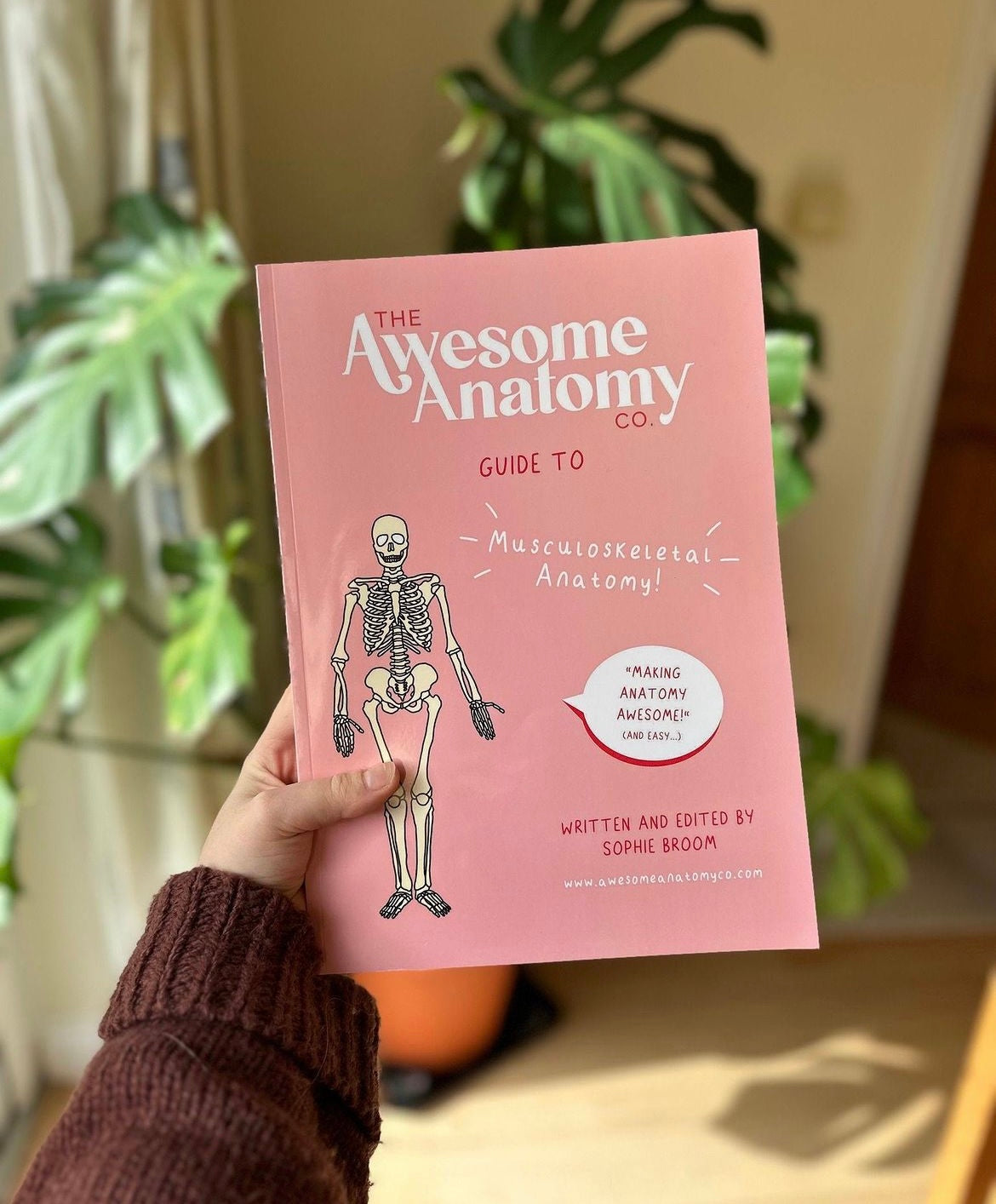 Anatomy Revision Guide