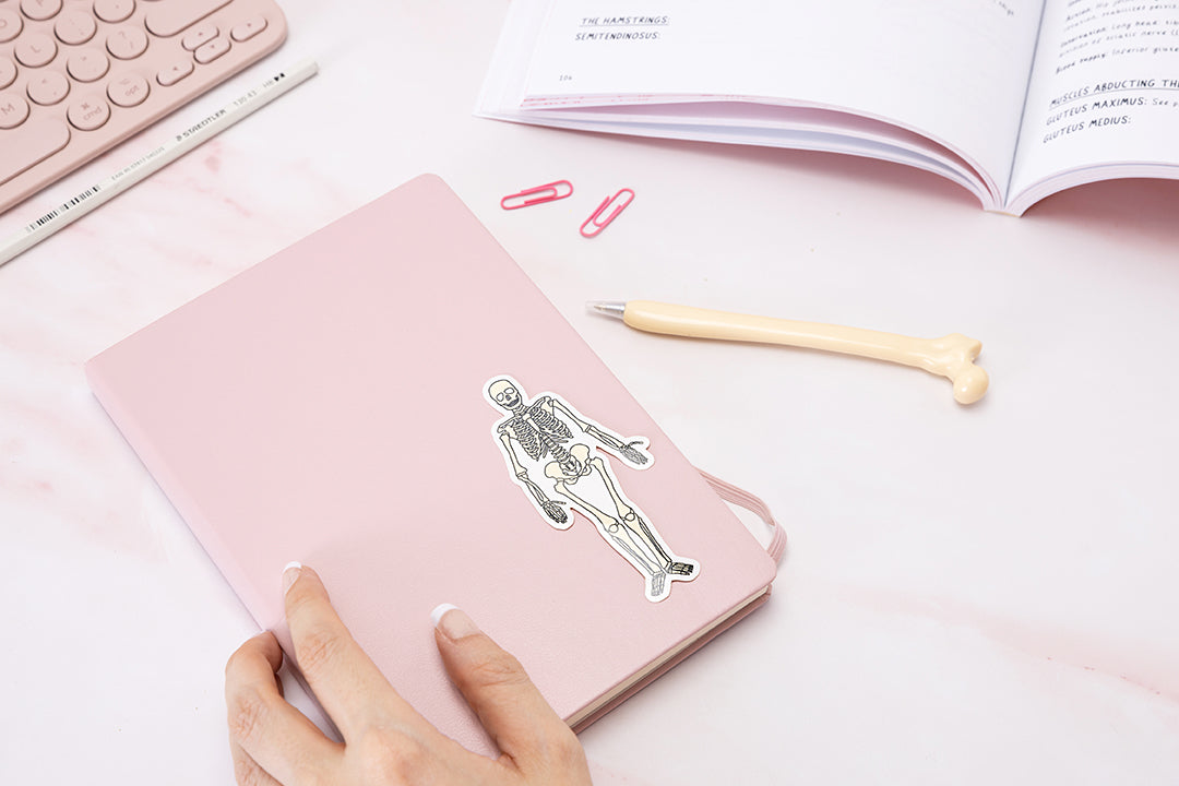 Skeleton Sticker Medical Skeleton Glossy Vinyl Sticker // Student, Physiotherapy, Medical, Anat ...