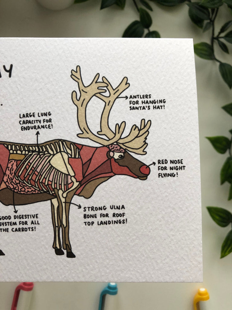 Christmas Card 5x7" The Anatomy Of Rudolph // Rudolph The Red Nose Reindeer, Gift for Vet, Medical, X-mas, Merry, Unique, Novelty, Animal