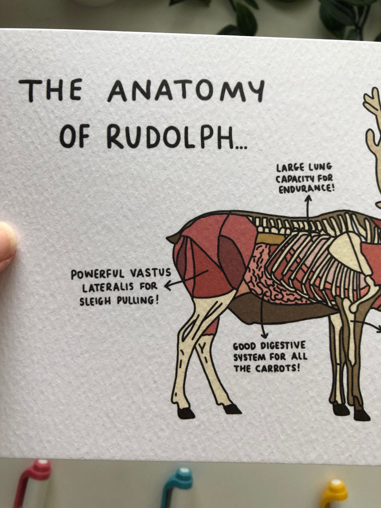 Christmas Card 5x7" The Anatomy Of Rudolph // Rudolph The Red Nose Reindeer, Gift for Vet, Medical, X-mas, Merry, Unique, Novelty, Animal