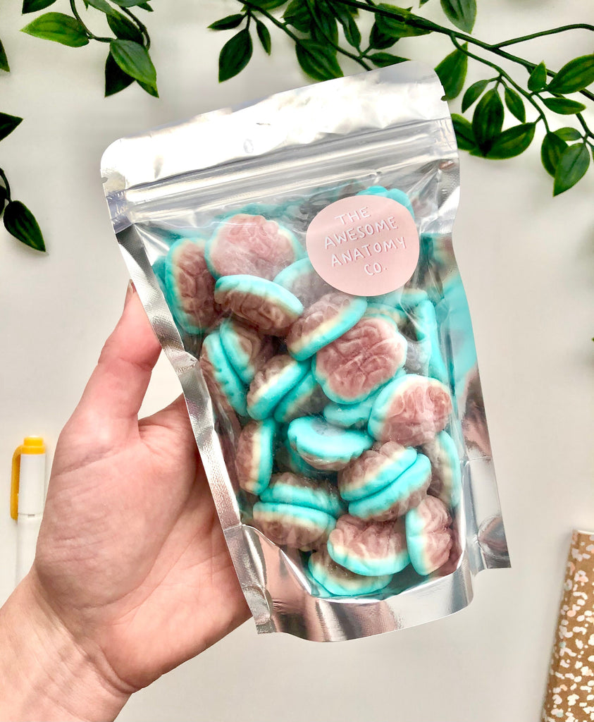 Pick And Mix Sweets Jelly Filled Brains Pouch 100g, 250g or 500g // Brain, Psychology, Student, Doctor, Mental Health, Paramedic, Nurse